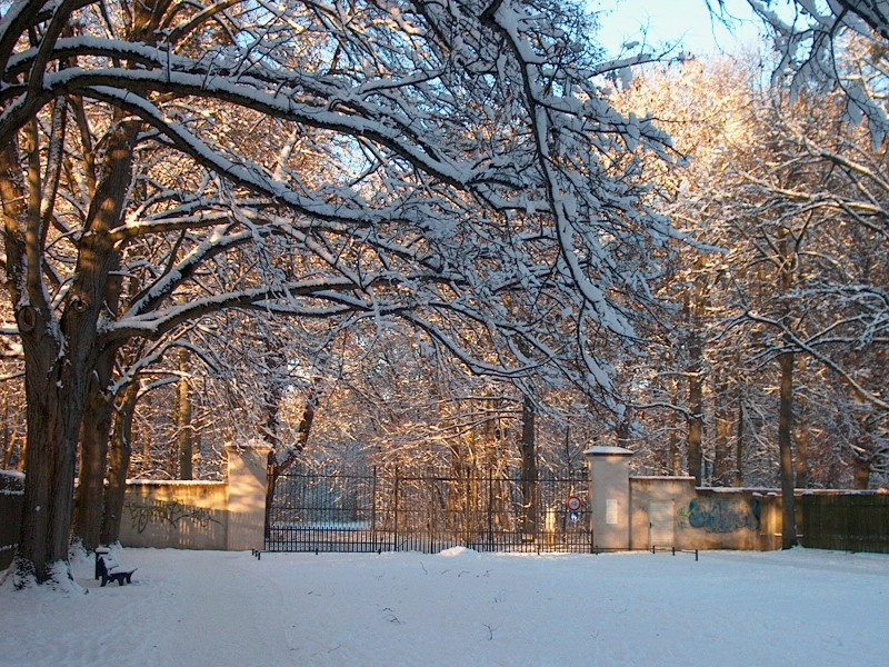 Nymphenburger Park 01