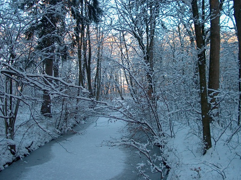 Nymphenburger Park 07