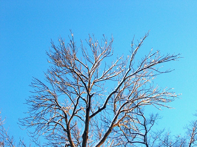 Nymphenburger Park 15