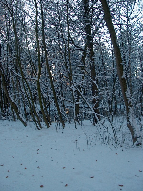 Nymphenburger Park 18