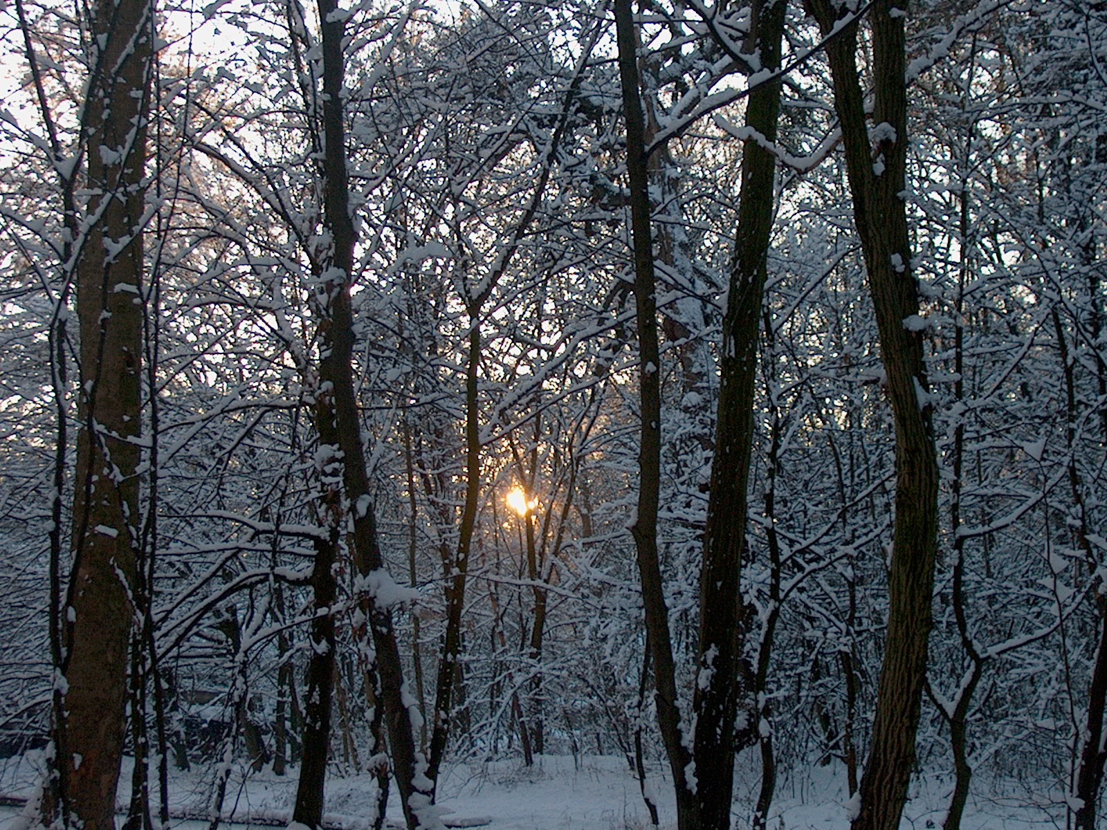 Nymphenburger Park 05