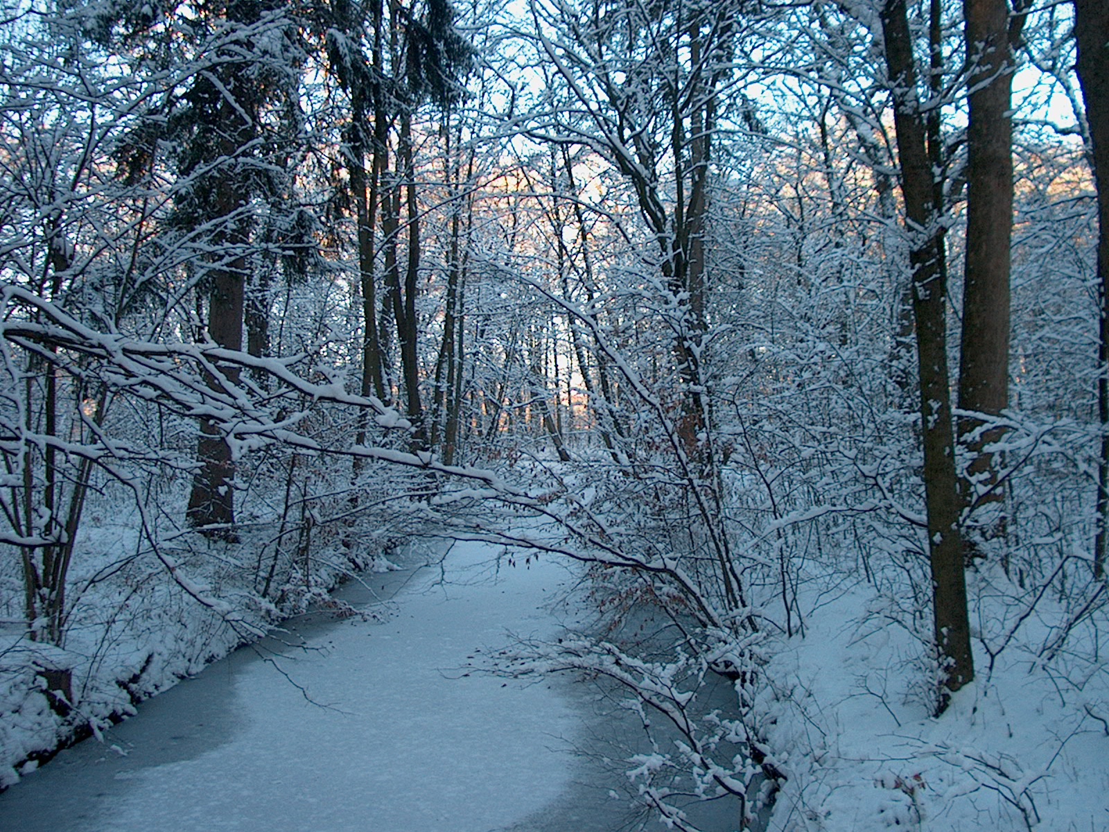 Nymphenburger Park 07