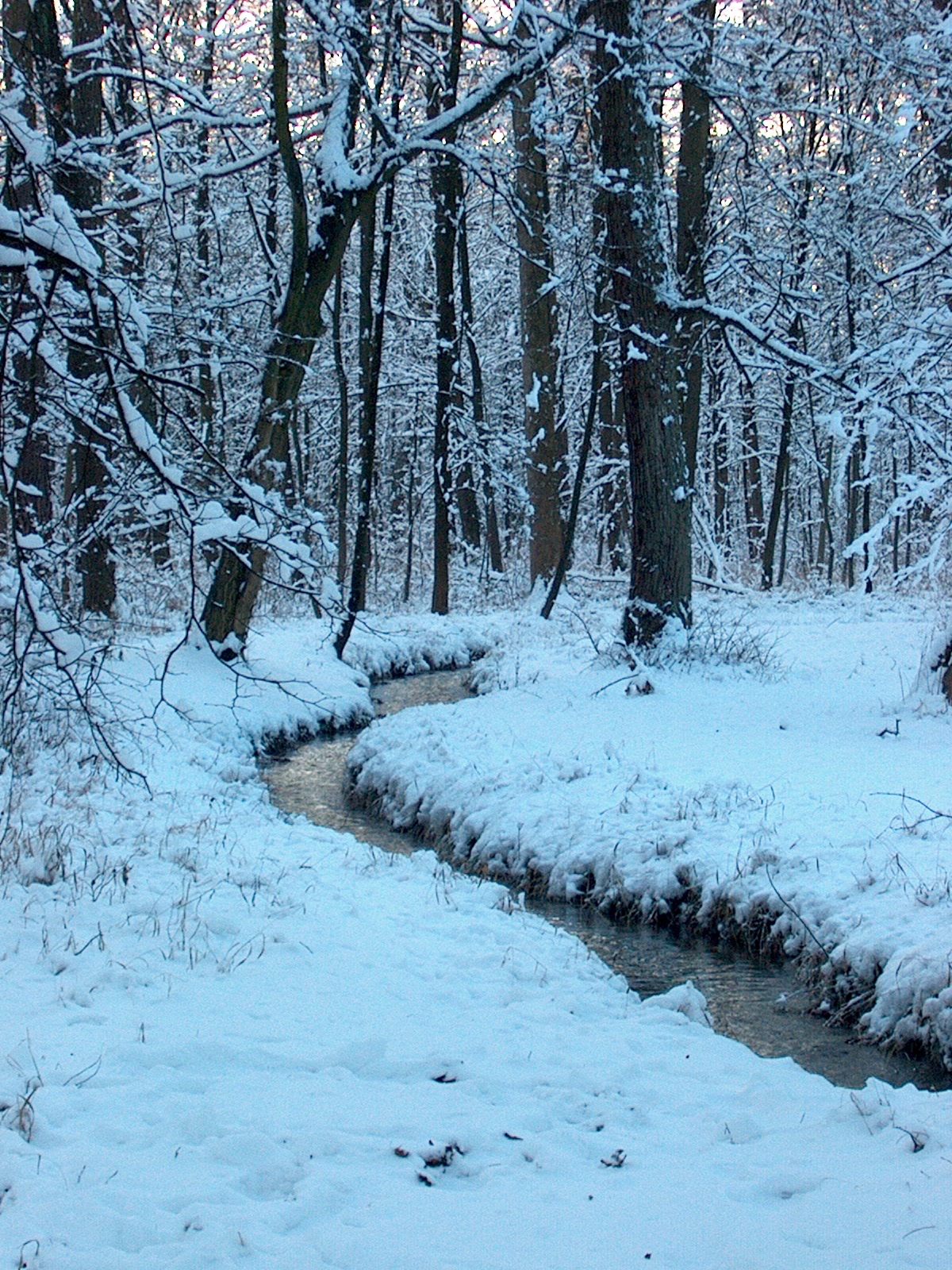 Nymphenburger Park 10