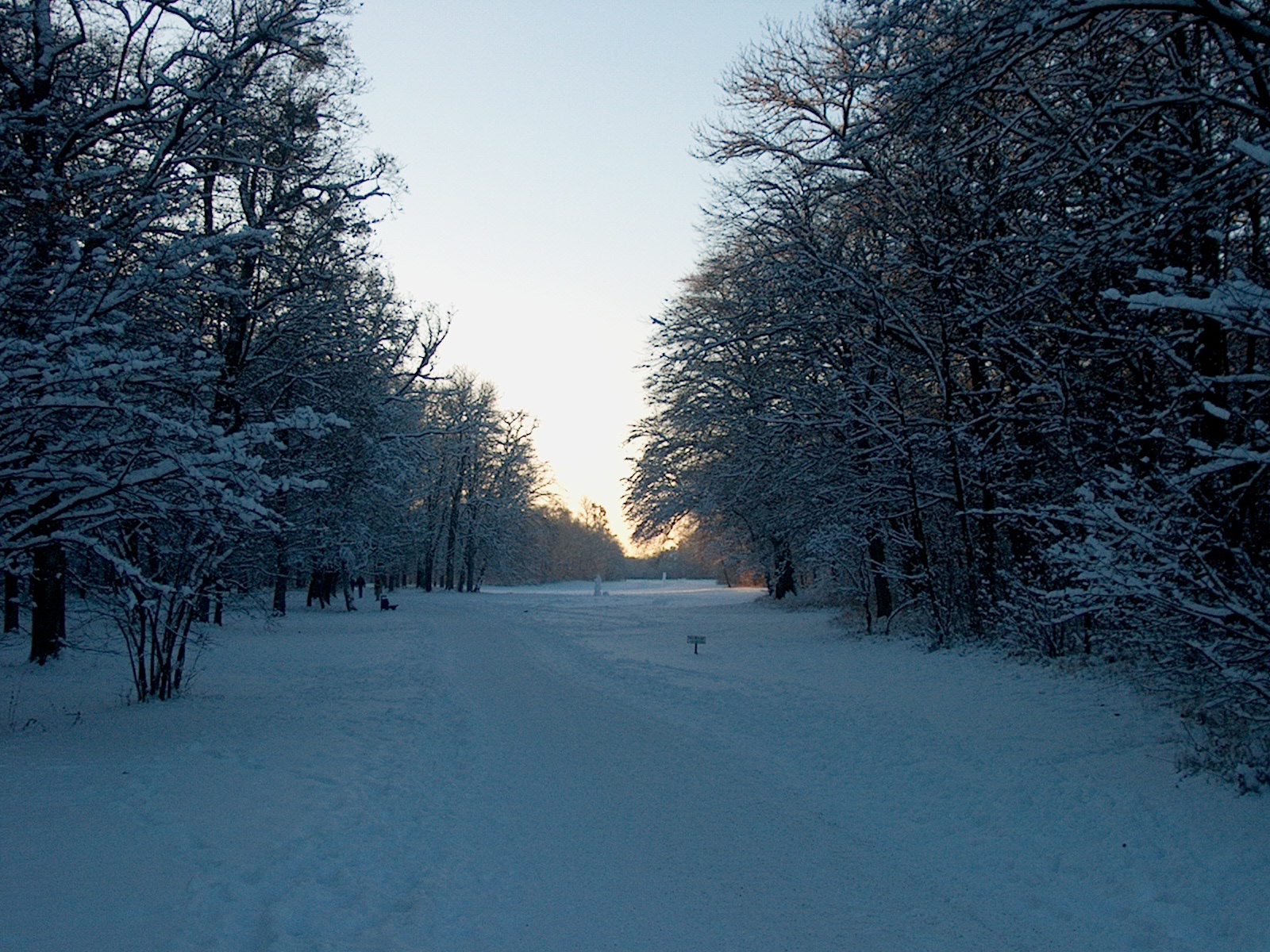 Nymphenburger Park 12