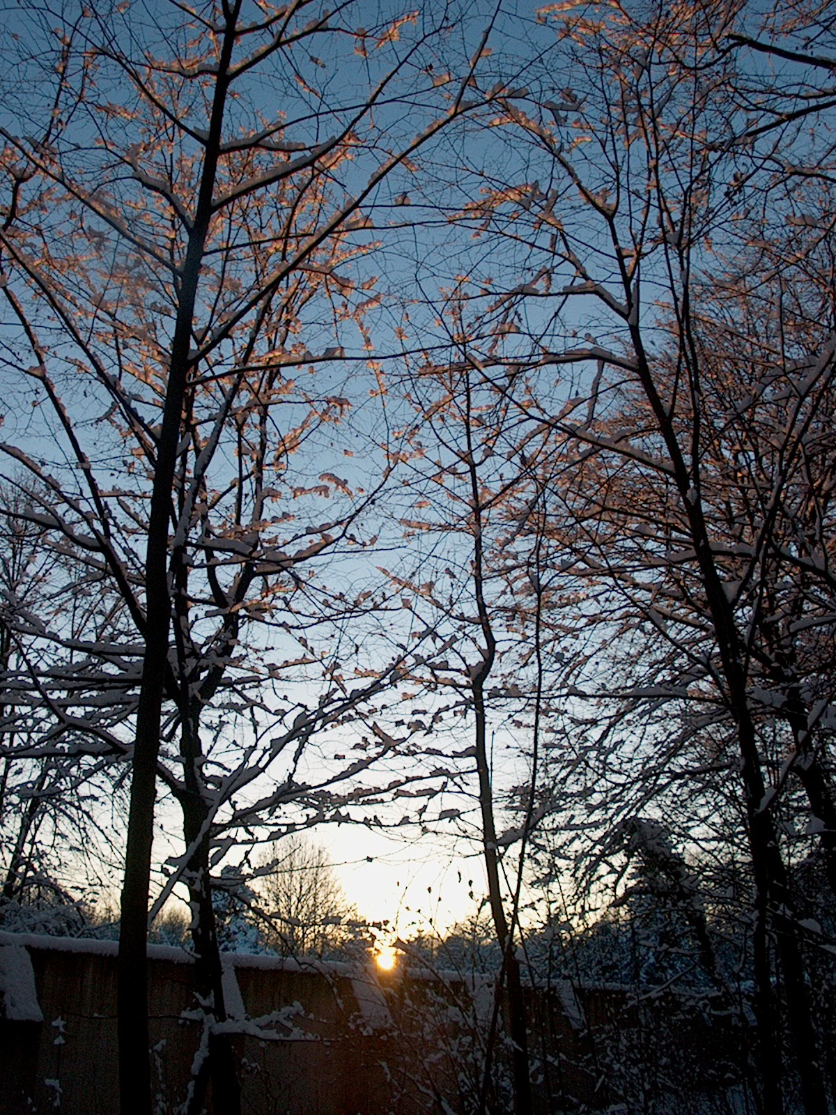 Nymphenburger Park 23