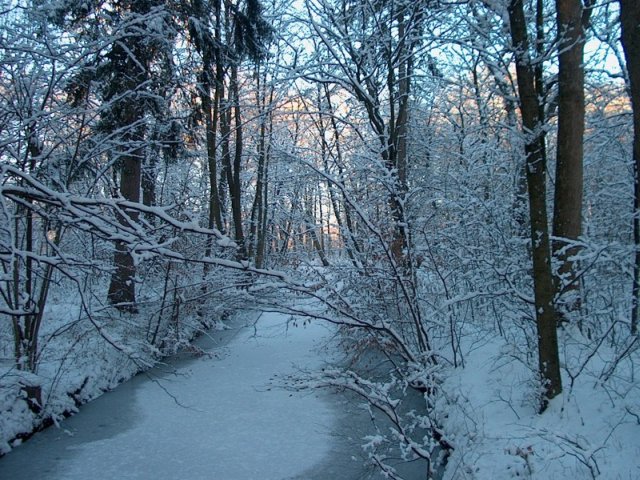 Nymphenburger Park 07