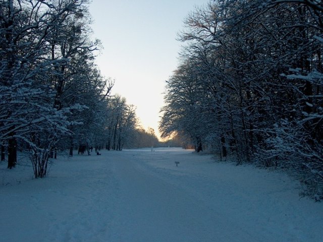 Nymphenburger Park 12