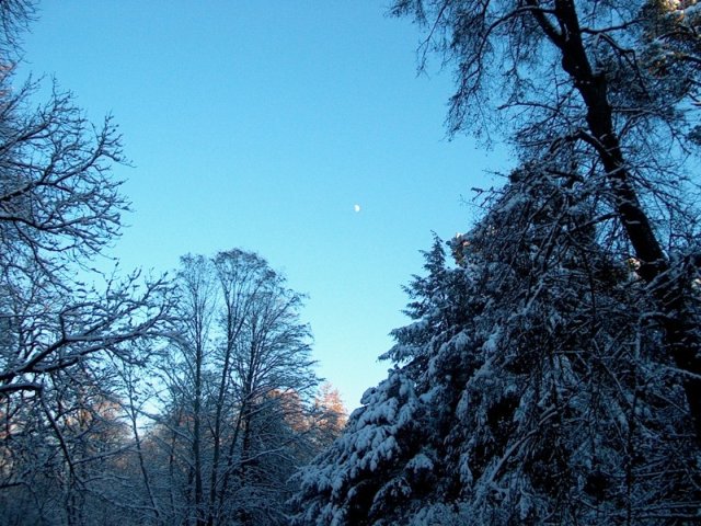 Nymphenburger Park 19