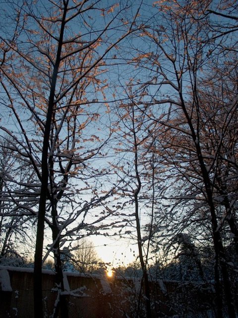 Nymphenburger Park 23