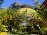 Mauritius 2010 - 0070 