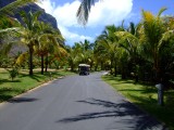 Mauritius 2010 - 0185 