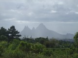 Mauritius 2010 - 0342 