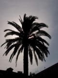 Nizza 2005 019