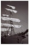 Portugal 2004 BW 37
